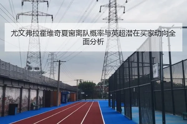 尤文弗拉霍维奇夏窗离队概率与英超潜在买家动向全面分析