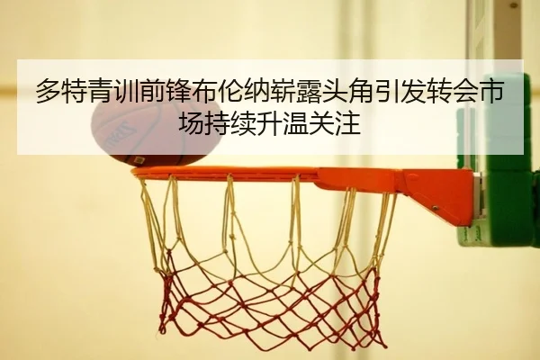 多特青训前锋布伦纳崭露头角引发转会市场持续升温关注