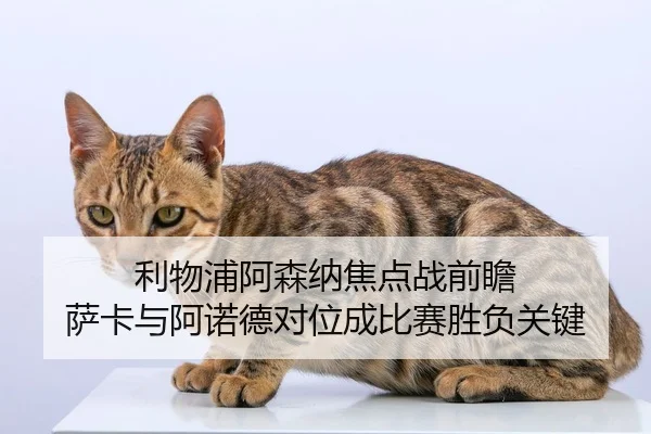 利物浦阿森纳焦点战前瞻 萨卡与阿诺德对位成比赛胜负关键